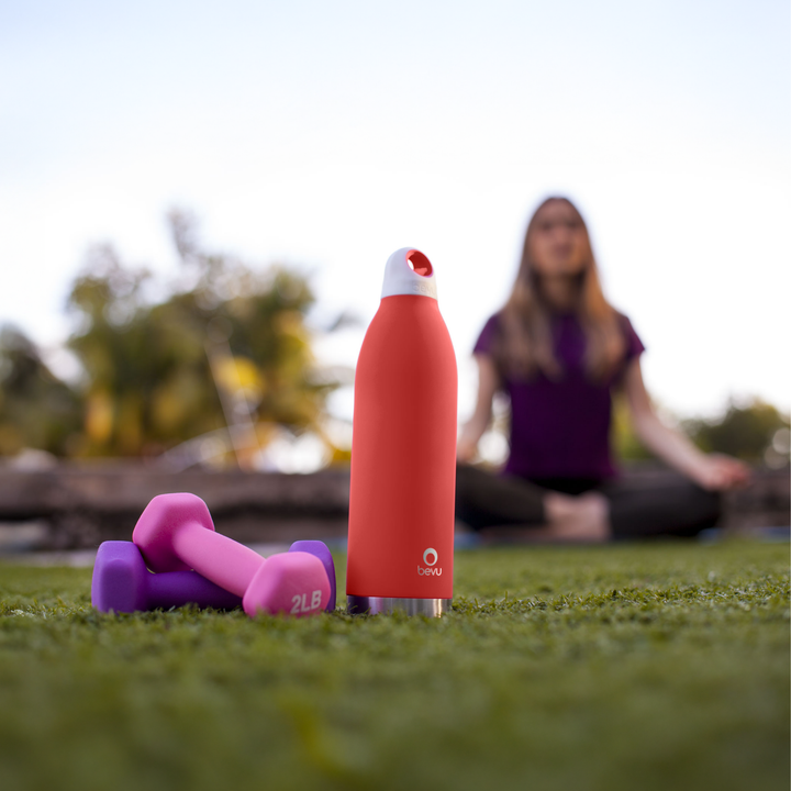 BEVU DUO STAINLESS STEEL INSULATED BOTTLE 25OZ (750ml) - bevulife.com